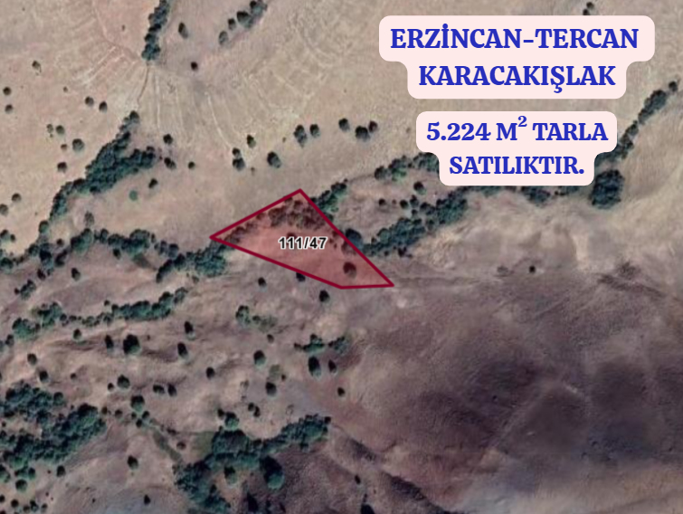 İlan Resmi